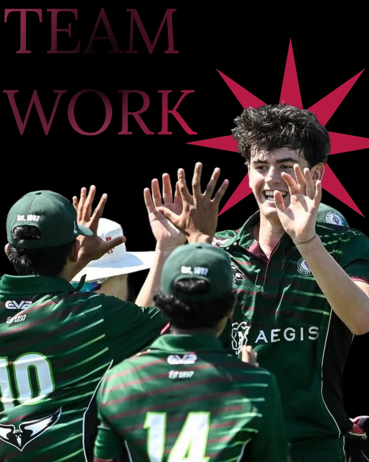 Magpies players high-fiving after taking a wicket — TEAM WORK
