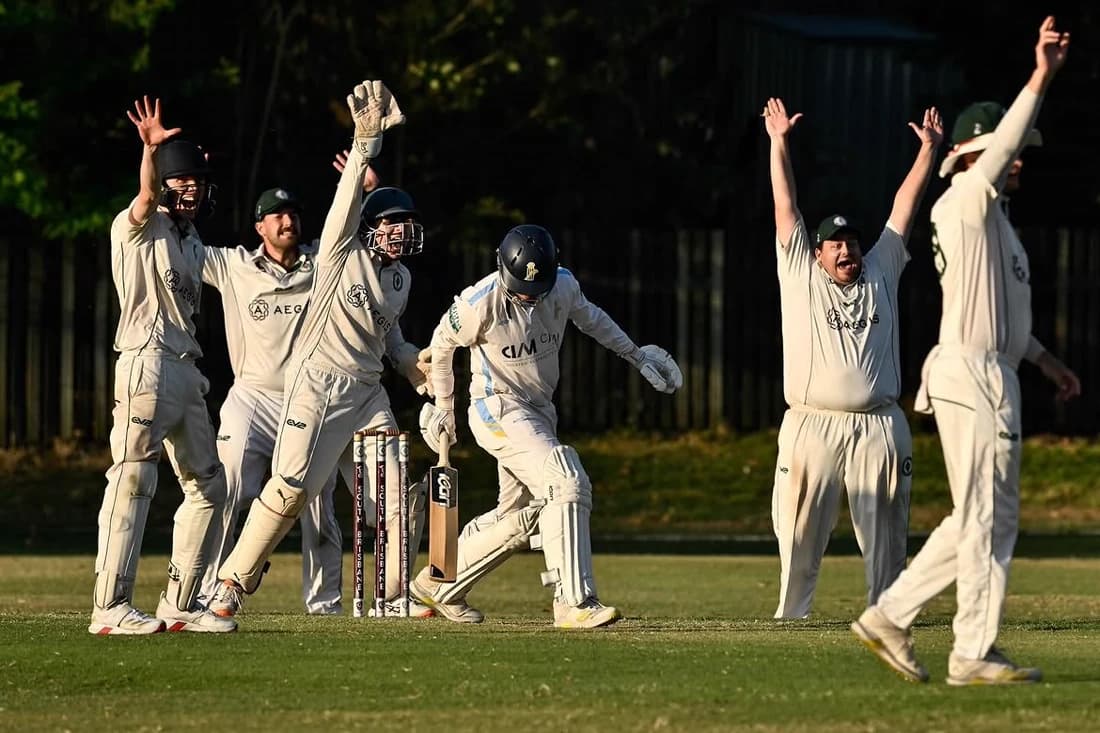 South Brisbane District Cricket Club players appealing for a wicket at dusk