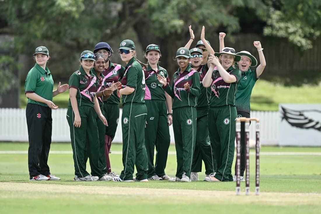 South Brisbane District Cricket Club players celebrating a wicket